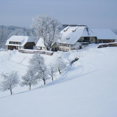 Brosihof Apartment Erlenbach  Luaran gambar