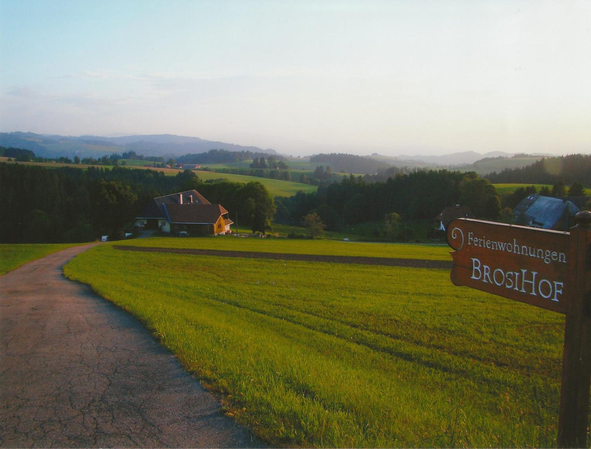 Brosihof Apartment Erlenbach  Luaran gambar