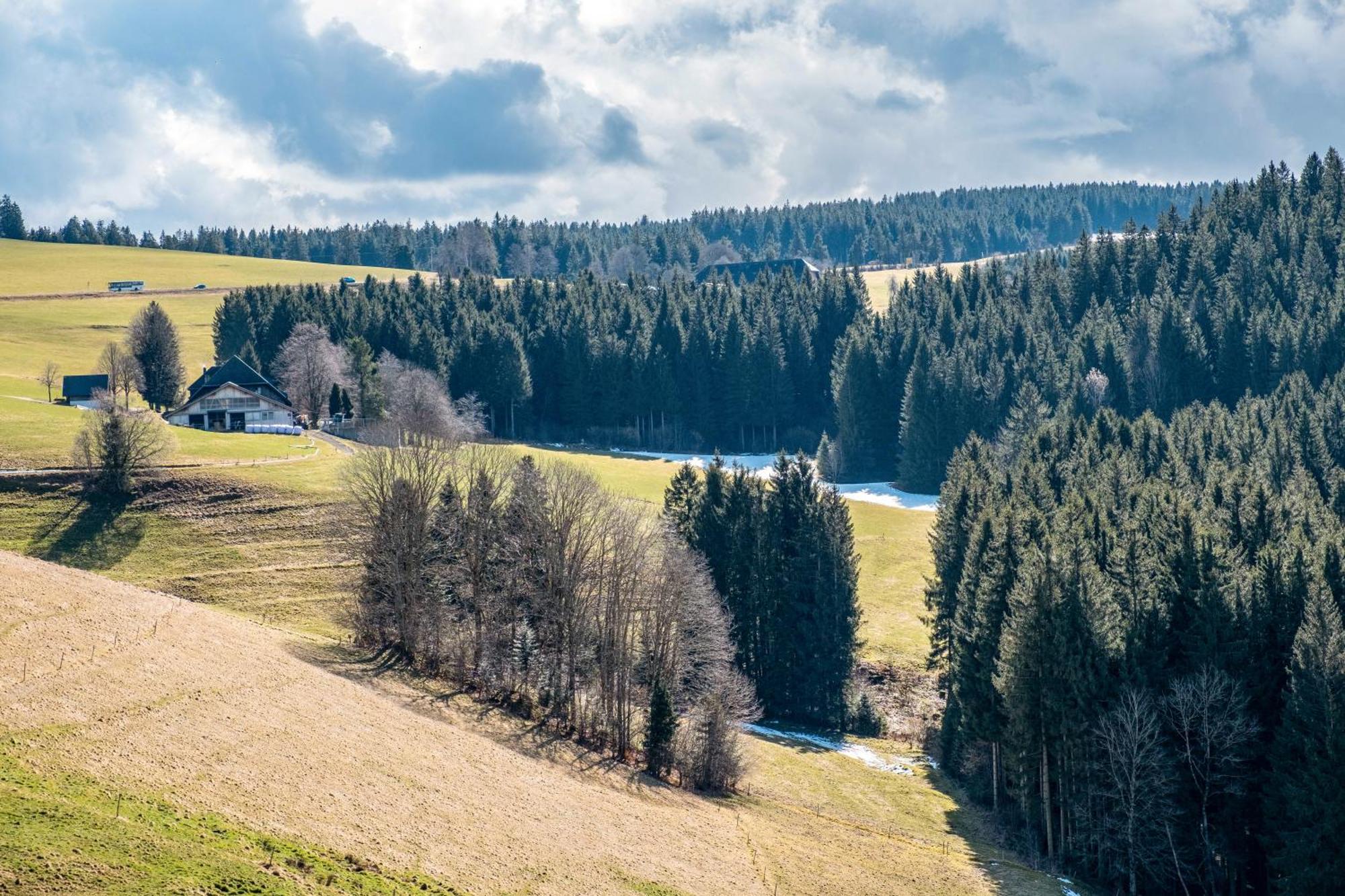 Brosihof Apartment Erlenbach  Luaran gambar