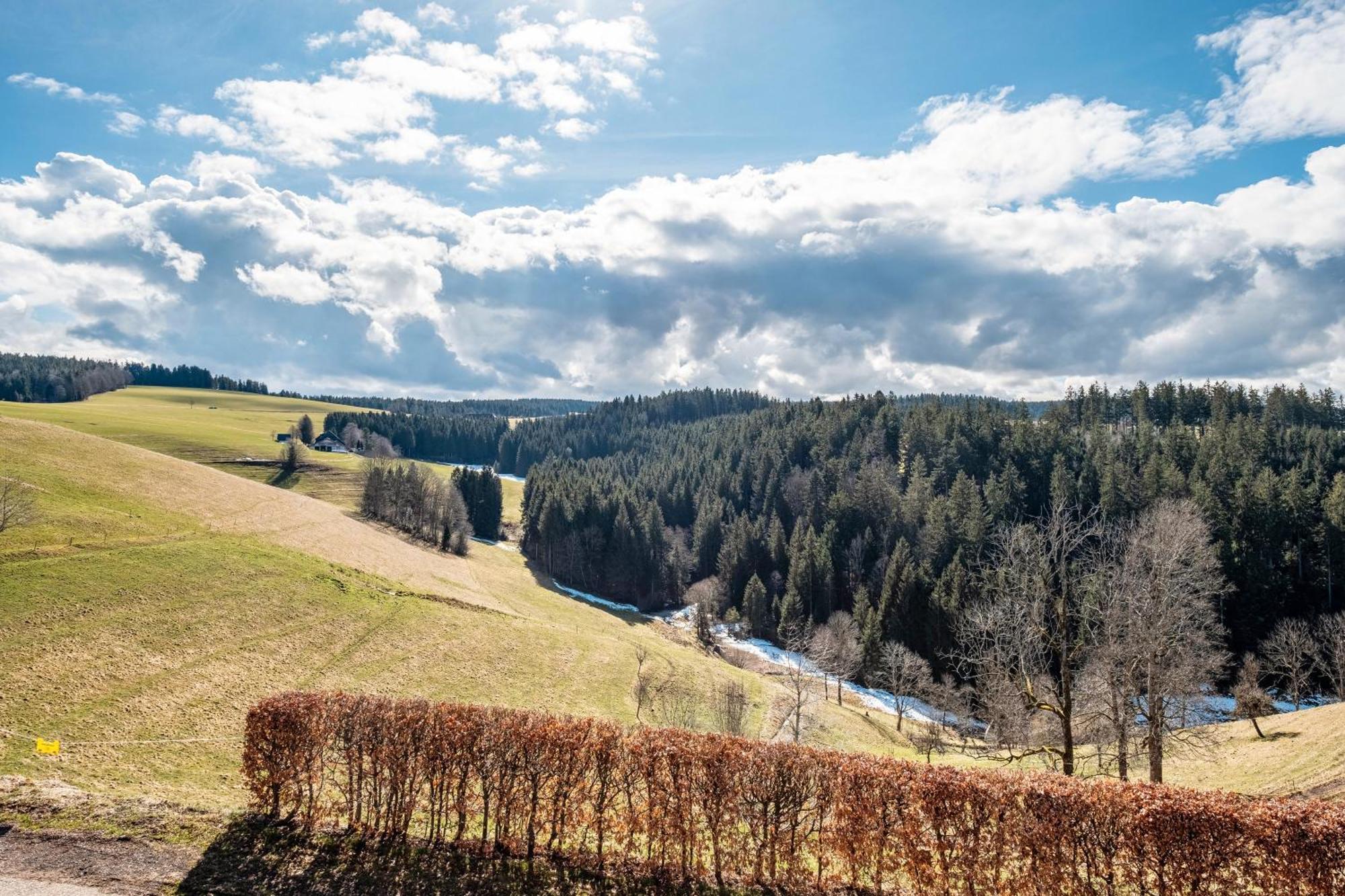 Brosihof Apartment Erlenbach  Luaran gambar